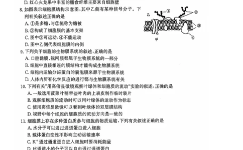 辽宁省锦州市某校2024-2025学年高一上学期期中质量检测生物试卷_2024年12月试卷_1202辽宁省锦州市某校2024-2025学年高一上学期期中质量检测
