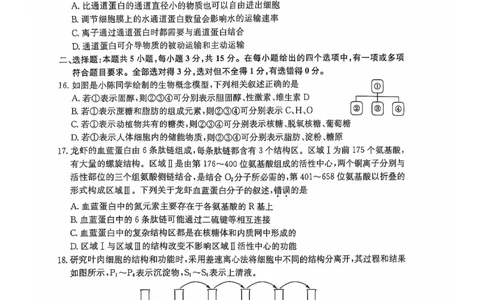 辽宁省锦州市某校2024-2025学年高一上学期期中质量检测生物试卷_2024年12月试卷_1202辽宁省锦州市某校2024-2025学年高一上学期期中质量检测