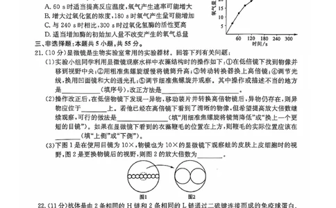 辽宁省锦州市某校2024-2025学年高一上学期期中质量检测生物试卷_2024年12月试卷_1202辽宁省锦州市某校2024-2025学年高一上学期期中质量检测