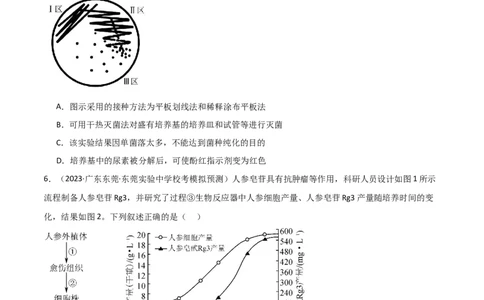 选择性必修3生物技术与工程测试卷（原卷版）_新高考复习资料_2024年新高考复习资料_❤专项复习资料_完一轮测试备战2024年高考生物按教材测试卷（新教材新高考）