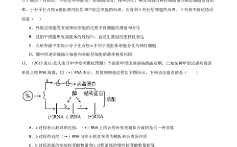 选择性必修3生物技术与工程测试卷（原卷版）_新高考复习资料_2024年新高考复习资料_❤专项复习资料_完一轮测试备战2024年高考生物按教材测试卷（新教材新高考）