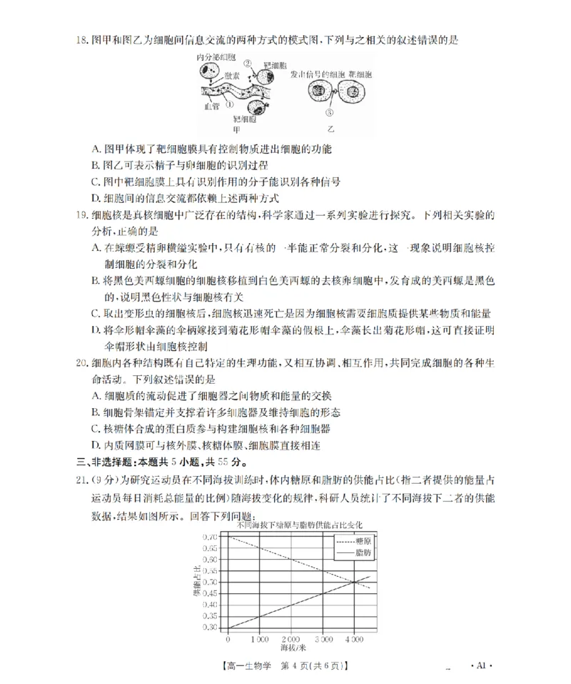 辽宁省2025-2026学年高一上学期11月联考（26-108A）生物_2025年12月高一试卷_251201金太阳&middot;辽宁省2025-2026学年高一上学期11月联考（26-108A）（全）