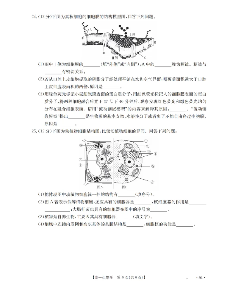 辽宁省2025-2026学年高一上学期11月联考（26-108A）生物_2025年12月高一试卷_251201金太阳&middot;辽宁省2025-2026学年高一上学期11月联考（26-108A）（全）