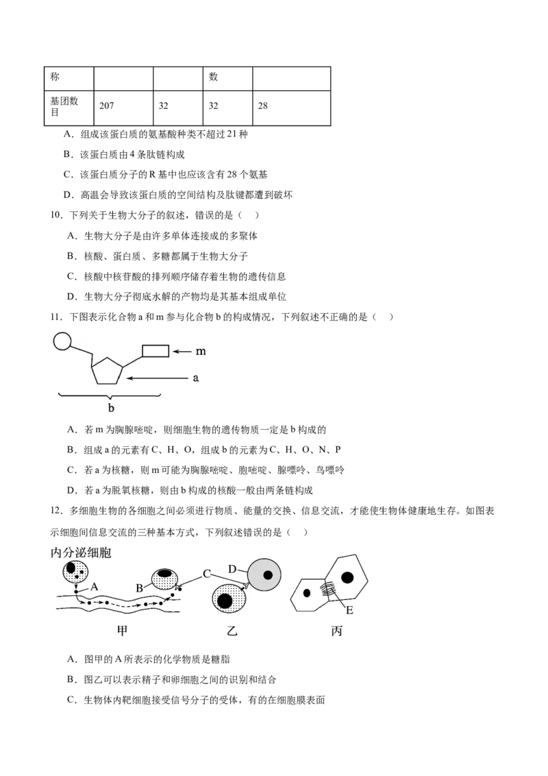 辽宁省辽西重点高中2025-2026学年高一上学期期中考试生物试卷（含答案）_2025年12月高一试卷_251212辽宁省辽西重点高中2025-2026学年高一上学期期中