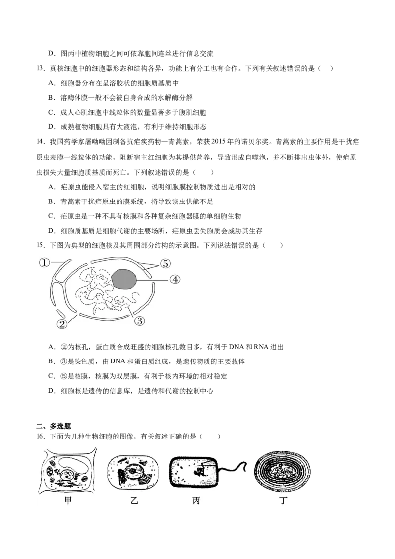 辽宁省辽西重点高中2025-2026学年高一上学期期中考试生物试卷（含答案）_2025年12月高一试卷_251212辽宁省辽西重点高中2025-2026学年高一上学期期中