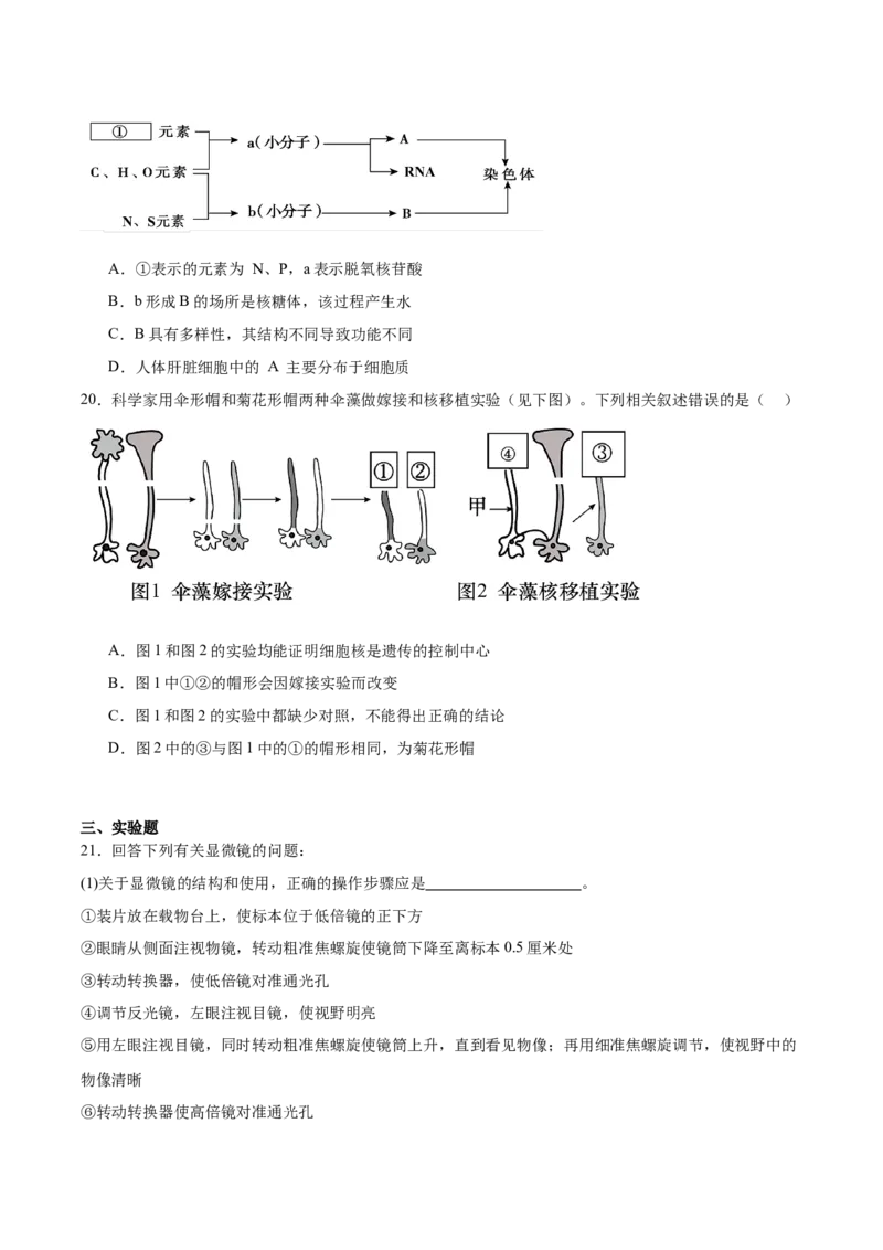 辽宁省辽西重点高中2025-2026学年高一上学期期中考试生物试卷（含答案）_2025年12月高一试卷_251212辽宁省辽西重点高中2025-2026学年高一上学期期中