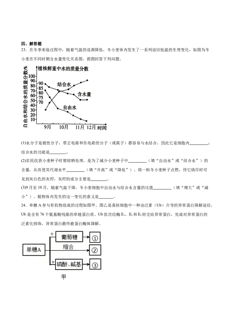 辽宁省辽西重点高中2025-2026学年高一上学期期中考试生物试卷（含答案）_2025年12月高一试卷_251212辽宁省辽西重点高中2025-2026学年高一上学期期中