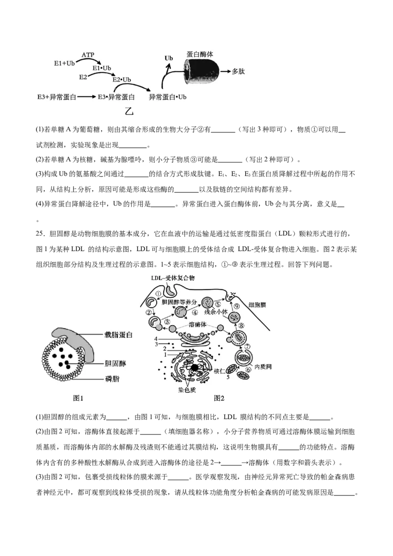 辽宁省辽西重点高中2025-2026学年高一上学期期中考试生物试卷（含答案）_2025年12月高一试卷_251212辽宁省辽西重点高中2025-2026学年高一上学期期中
