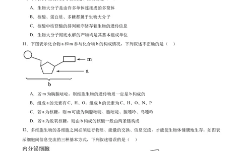 辽宁省辽西重点高中2025-2026学年高一上学期期中考试生物试卷（含答案）_2025年12月高一试卷_251212辽宁省辽西重点高中2025-2026学年高一上学期期中