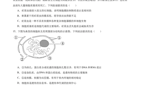 辽宁省辽西重点高中2025-2026学年高一上学期期中考试生物试卷（含答案）_2025年12月高一试卷_251212辽宁省辽西重点高中2025-2026学年高一上学期期中