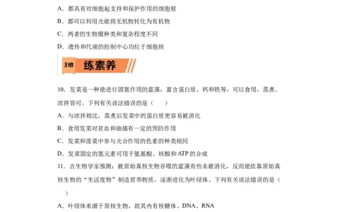 课时04病毒、原核生物与真核生物-2023年高考生物一轮复习小题多维练（原卷版）_通用版（老高考）复习资料_2023年复习资料_一轮复习_2023年高考生物一轮复习小题多维练（全国通用）