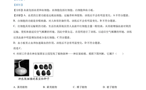 精品解析：2022年山东省青岛市中考生物真题（解析版）_6生物中考复习_2025中考复习资料_中考真题（近三年）_2022年生物中考真题114份_精品解析：2022年山东省青岛市中考生物真题