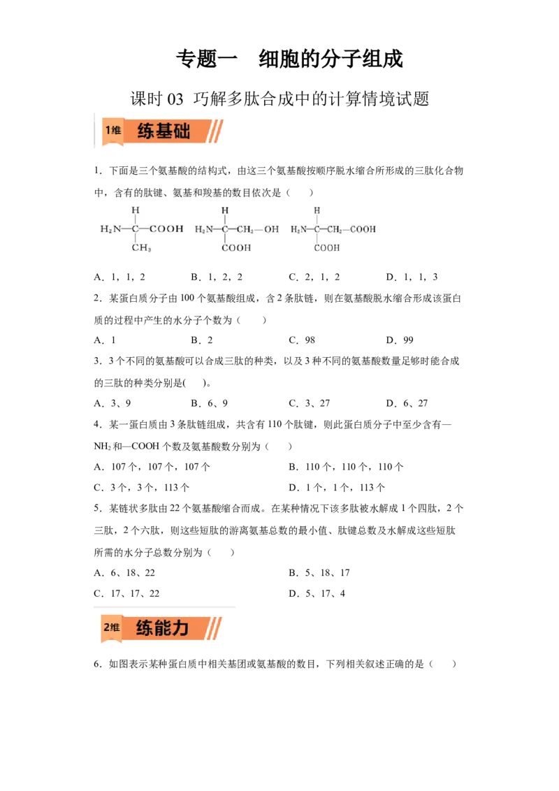 课时03巧解多肽合成中的计算情境试题-2023年高考生物一轮复习小题多维练（原卷版）_通用版（老高考）复习资料_2023年复习资料_一轮复习_2023年高考生物一轮复习小题多维练（全国通用）