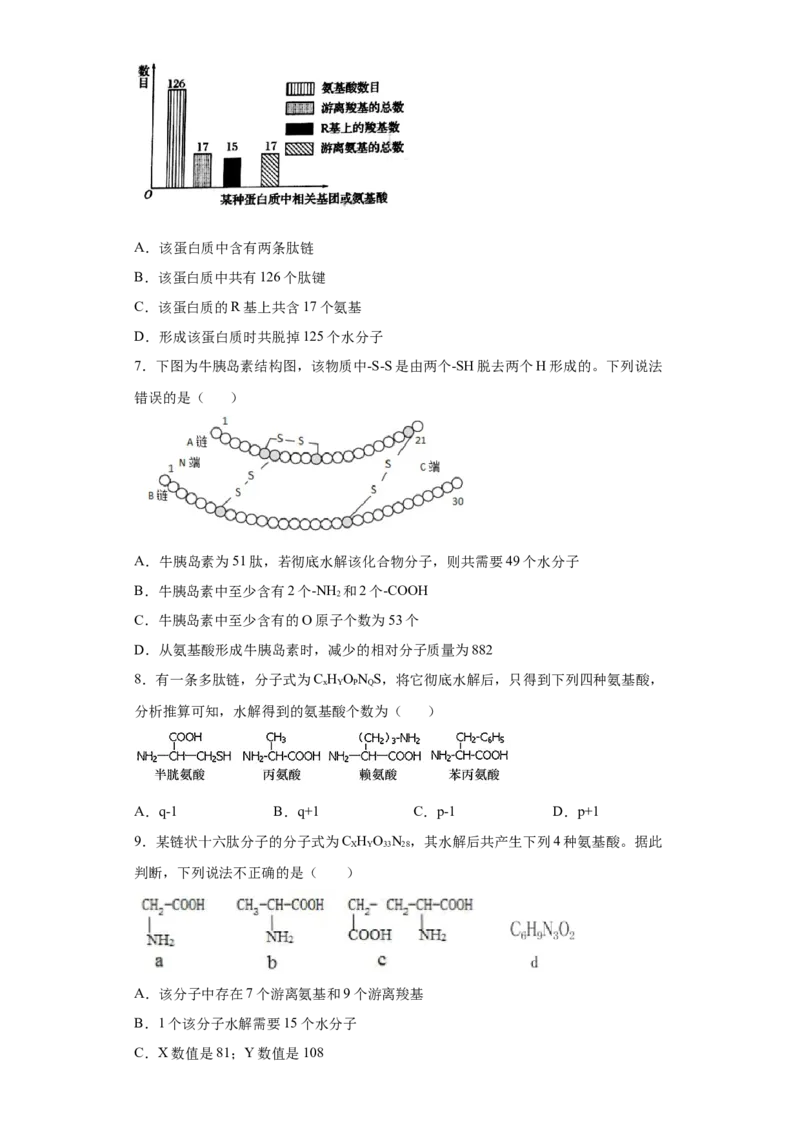 课时03巧解多肽合成中的计算情境试题-2023年高考生物一轮复习小题多维练（原卷版）_通用版（老高考）复习资料_2023年复习资料_一轮复习_2023年高考生物一轮复习小题多维练（全国通用）