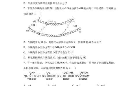课时03巧解多肽合成中的计算情境试题-2023年高考生物一轮复习小题多维练（原卷版）_通用版（老高考）复习资料_2023年复习资料_一轮复习_2023年高考生物一轮复习小题多维练（全国通用）