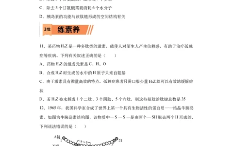 课时03巧解多肽合成中的计算情境试题-2023年高考生物一轮复习小题多维练（原卷版）_通用版（老高考）复习资料_2023年复习资料_一轮复习_2023年高考生物一轮复习小题多维练（全国通用）