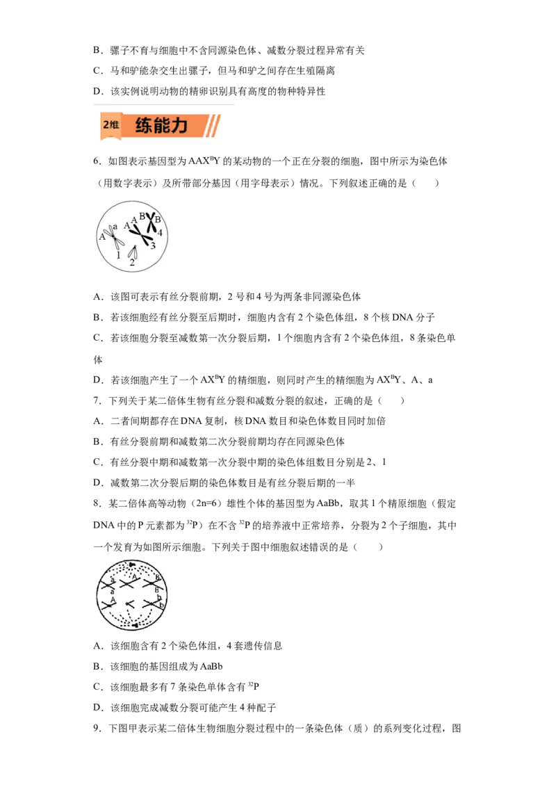 课时23染色体组的相关判断-2023年高考生物一轮复习小题多维练（原卷版）_通用版（老高考）复习资料_2023年复习资料_一轮复习_2023年高考生物一轮复习小题多维练（全国通用）