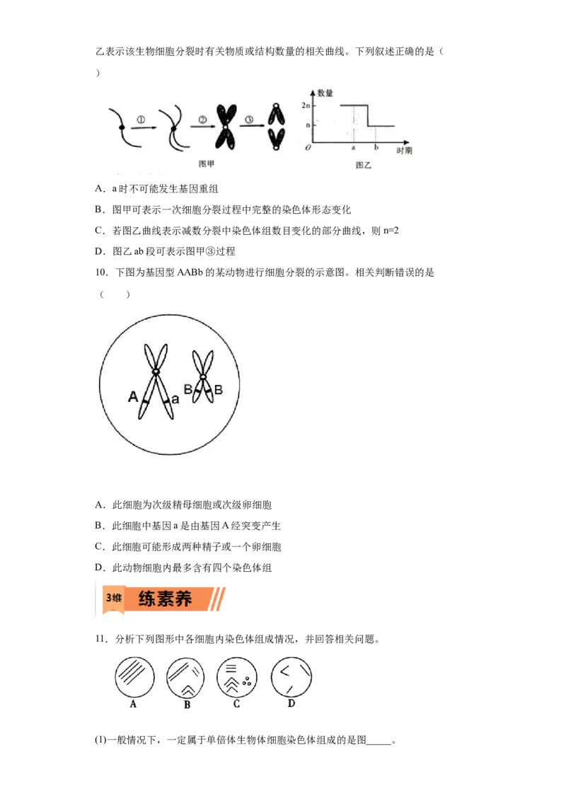 课时23染色体组的相关判断-2023年高考生物一轮复习小题多维练（原卷版）_通用版（老高考）复习资料_2023年复习资料_一轮复习_2023年高考生物一轮复习小题多维练（全国通用）