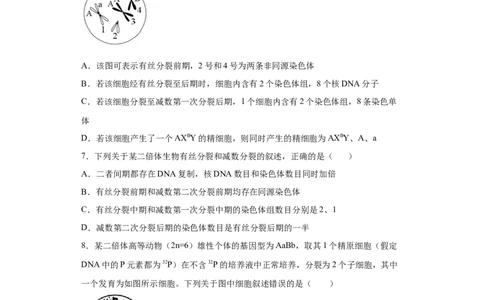 课时23染色体组的相关判断-2023年高考生物一轮复习小题多维练（原卷版）_通用版（老高考）复习资料_2023年复习资料_一轮复习_2023年高考生物一轮复习小题多维练（全国通用）