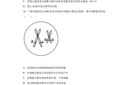 课时23染色体组的相关判断-2023年高考生物一轮复习小题多维练（原卷版）_通用版（老高考）复习资料_2023年复习资料_一轮复习_2023年高考生物一轮复习小题多维练（全国通用）