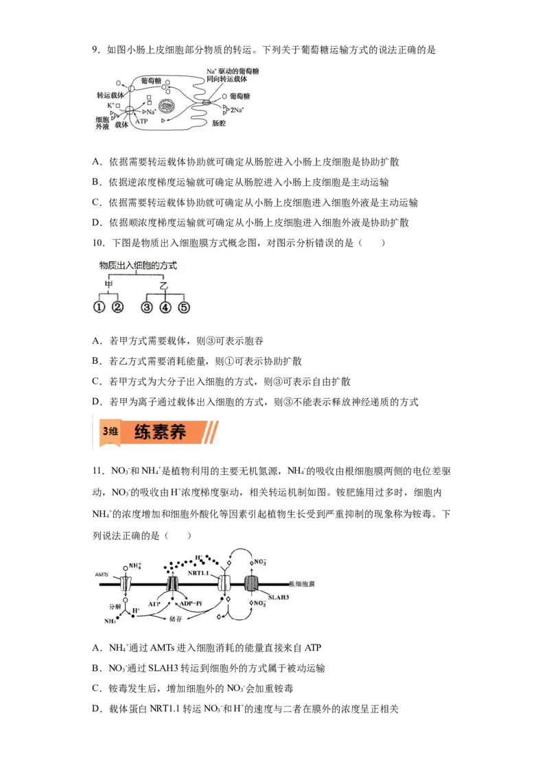 课时06物质进出细胞的方式-2023年高考生物一轮复习小题多维练（原卷版）_通用版（老高考）复习资料_2023年复习资料_一轮复习_2023年高考生物一轮复习小题多维练（全国通用）