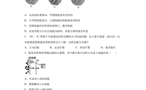 课时06物质进出细胞的方式-2023年高考生物一轮复习小题多维练（原卷版）_通用版（老高考）复习资料_2023年复习资料_一轮复习_2023年高考生物一轮复习小题多维练（全国通用）