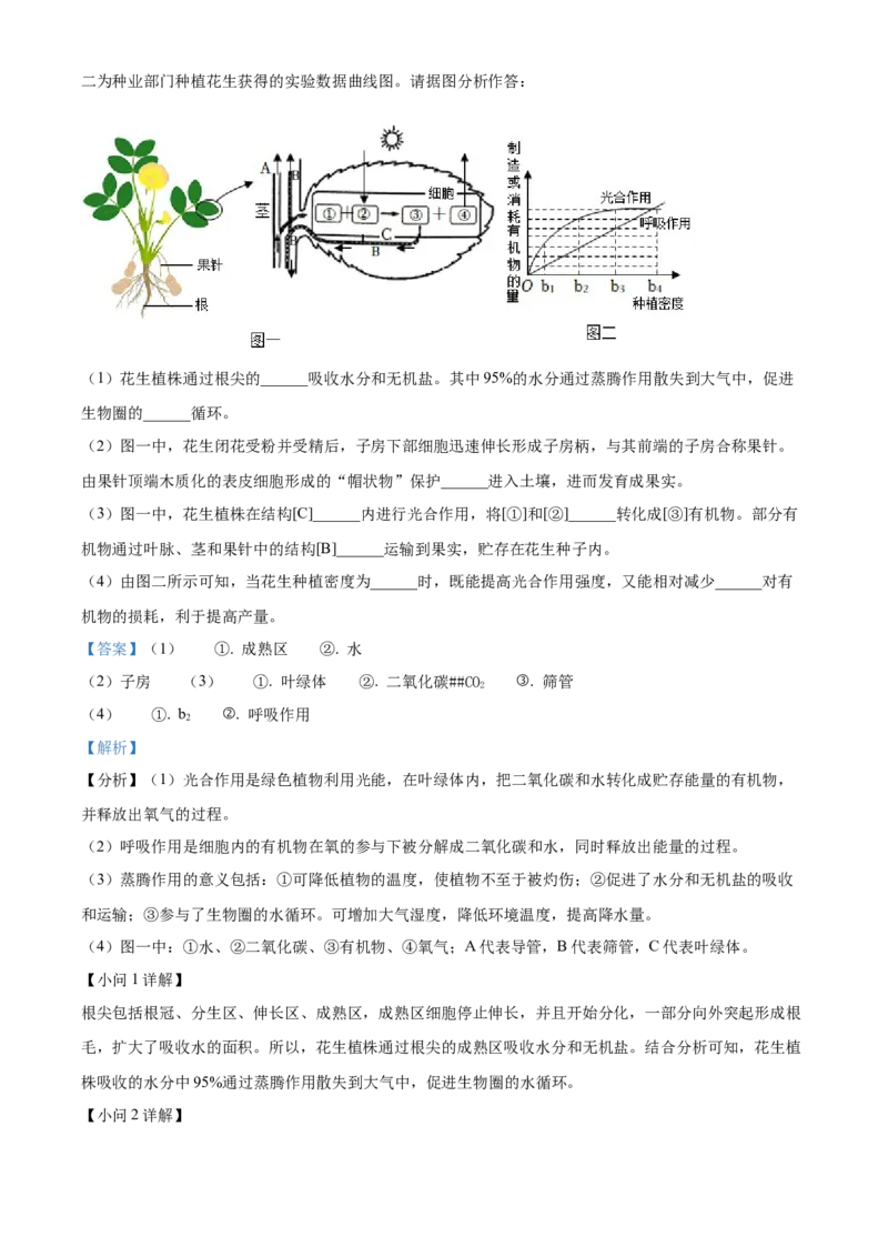 精品解析：2022年山东省枣庄市中考生物真题（解析版）_6生物中考复习_2025中考复习资料_中考真题（近三年）_2022年生物中考真题114份_精品解析：2022年山东省枣庄市中考生物真题
