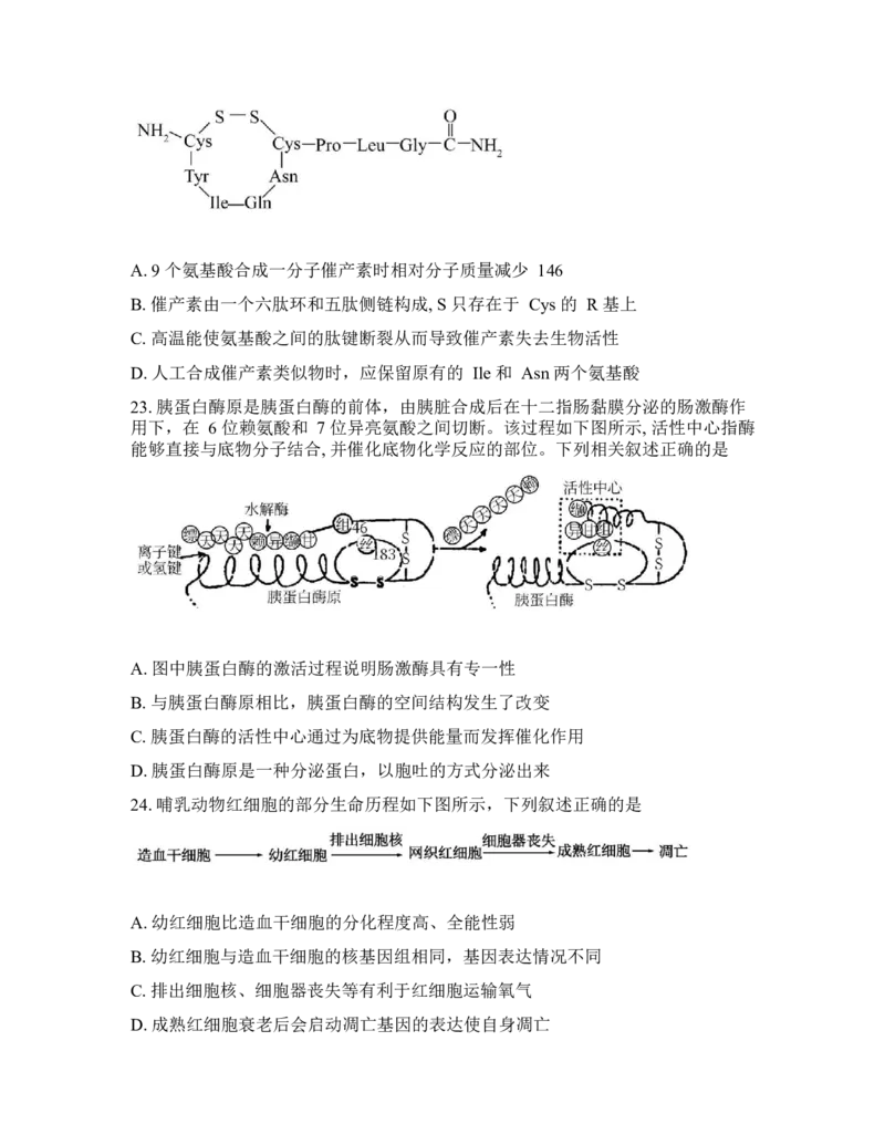 辽宁省实验中学2026年2月高一下学期期初试卷生物学(含答案)_2026年03月高一试卷_260306辽宁省实验中学2026年2月高一下学期期初试卷
