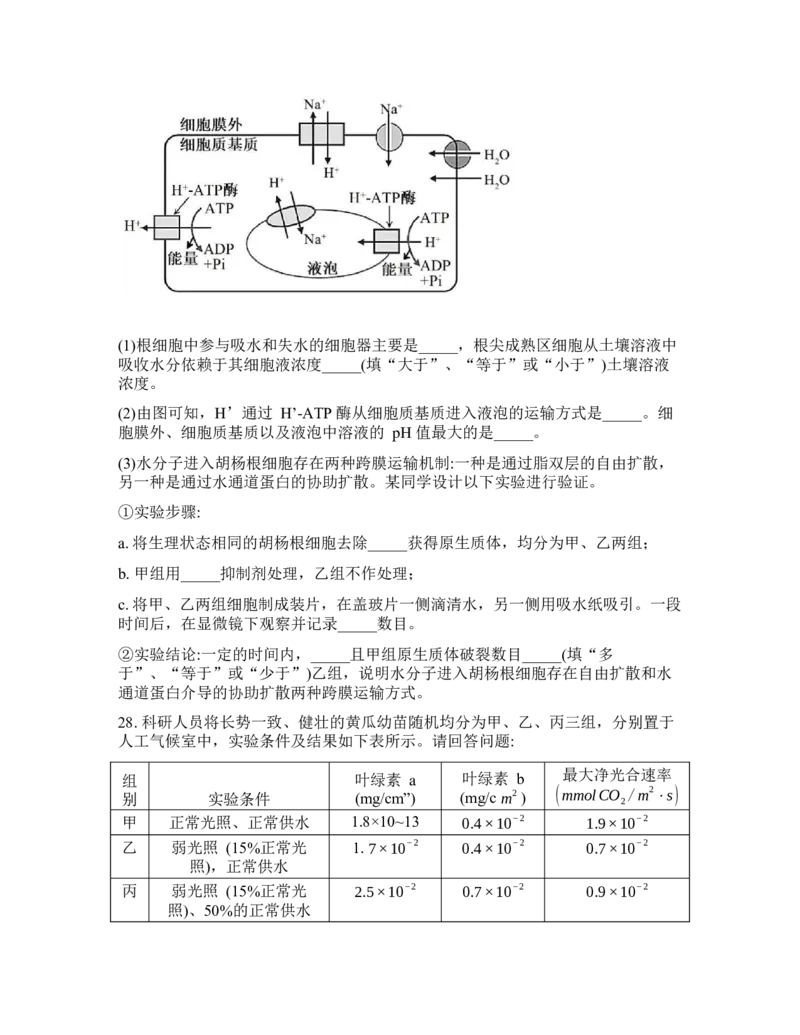 辽宁省实验中学2026年2月高一下学期期初试卷生物学(含答案)_2026年03月高一试卷_260306辽宁省实验中学2026年2月高一下学期期初试卷