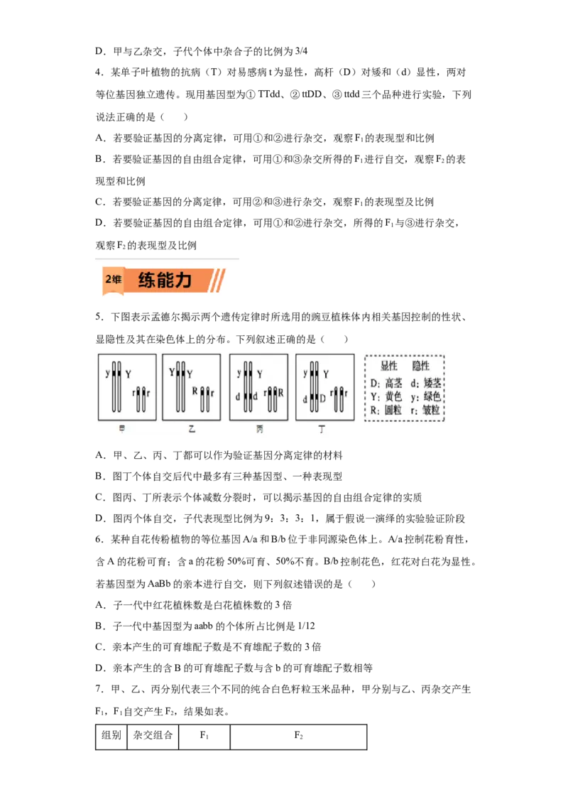 课时19自由组合定律及巧解特殊分离比-2023年高考生物一轮复习小题多维练（原卷版）_通用版（老高考）复习资料_2023年复习资料_一轮复习_2023年高考生物一轮复习小题多维练（全国通用）