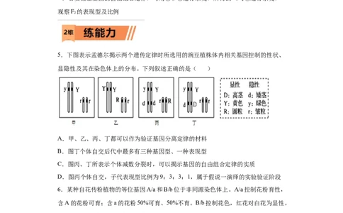 课时19自由组合定律及巧解特殊分离比-2023年高考生物一轮复习小题多维练（原卷版）_通用版（老高考）复习资料_2023年复习资料_一轮复习_2023年高考生物一轮复习小题多维练（全国通用）