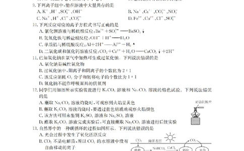 辽宁省葫芦岛市、县协作校2025-2026学年高一上学期第一次考试（26-71A）化学_2025年11月高一试卷_251116金太阳&middot;辽宁省葫芦岛市、县协作校2025-2026学年高一上学期第一次考试（26-71A）（全）
