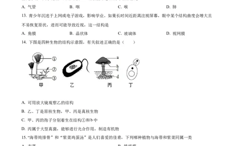 精品解析：2022年四川省资阳市中考生物真题（原卷版）_6生物中考复习_2025中考复习资料_中考真题（近三年）_2022年生物中考真题114份_精品解析：2022年四川省资阳市中考生物真题