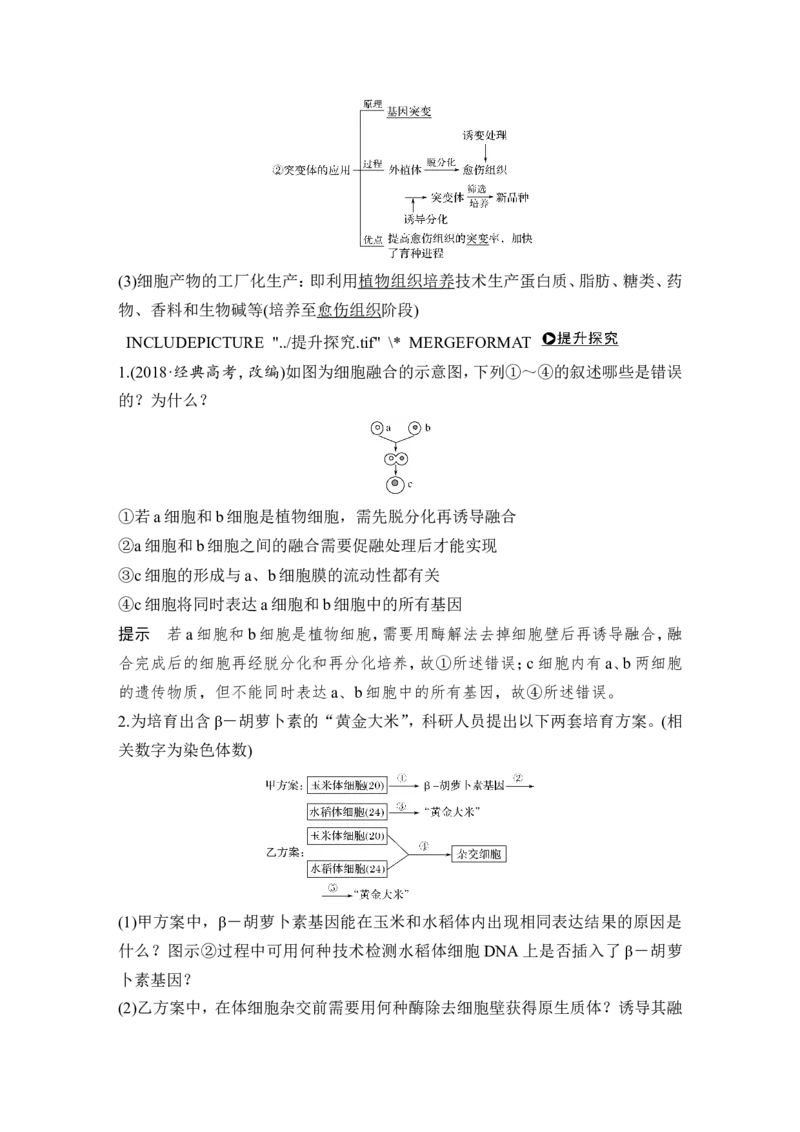 选修三第32讲_新高考复习资料_2022年新高考复习资料_2022年一轮复习最新版_1.2022年高考生物一轮复习全国通用版_2022年新高考生物一轮复习讲义（最新版）_赠送word习题库_选修3