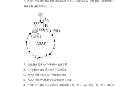课时09光合作用的过程及影响因素-2023年高考生物一轮复习小题多维练（原卷版）_通用版（老高考）复习资料_2023年复习资料_一轮复习_2023年高考生物一轮复习小题多维练（全国通用）