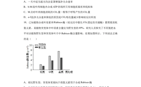 课时09光合作用的过程及影响因素-2023年高考生物一轮复习小题多维练（原卷版）_通用版（老高考）复习资料_2023年复习资料_一轮复习_2023年高考生物一轮复习小题多维练（全国通用）