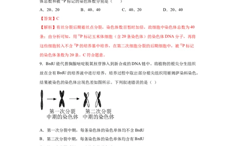 课时11有丝分裂及染色体、核DNA等含量变化分析-2023年高考生物一轮复习小题多维练（解析版）_通用版（老高考）复习资料_2023年复习资料_一轮复习