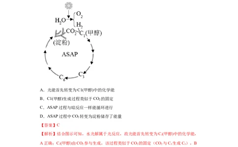 课时09光合作用的过程及影响因素-2023年高考生物一轮复习小题多维练（解析版）_通用版（老高考）复习资料_2023年复习资料_一轮复习_2023年高考生物一轮复习小题多维练（全国通用）