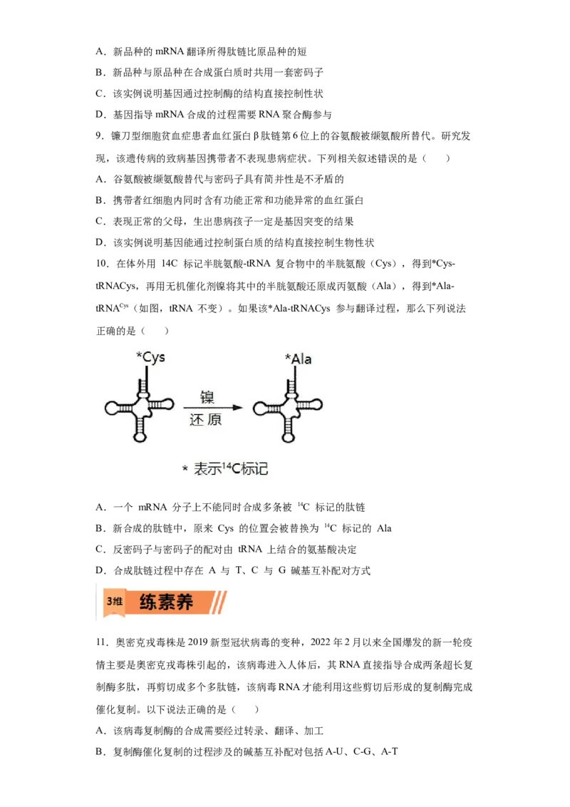课时16基因的表达及对性状的控制-2023年高考生物一轮复习小题多维练（原卷版）_通用版（老高考）复习资料_2023年复习资料_一轮复习_2023年高考生物一轮复习小题多维练（全国通用）