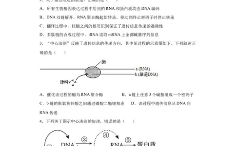 课时16基因的表达及对性状的控制-2023年高考生物一轮复习小题多维练（原卷版）_通用版（老高考）复习资料_2023年复习资料_一轮复习_2023年高考生物一轮复习小题多维练（全国通用）