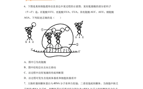 课时16基因的表达及对性状的控制-2023年高考生物一轮复习小题多维练（原卷版）_通用版（老高考）复习资料_2023年复习资料_一轮复习_2023年高考生物一轮复习小题多维练（全国通用）