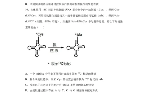课时16基因的表达及对性状的控制-2023年高考生物一轮复习小题多维练（原卷版）_通用版（老高考）复习资料_2023年复习资料_一轮复习_2023年高考生物一轮复习小题多维练（全国通用）