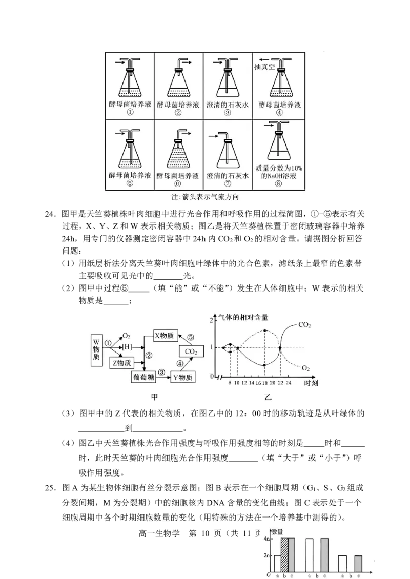 辽宁省重点高中沈阳市郊联体2025-2026学年高一上学期期末生物试卷含答案_2026年02月高一试卷_260201辽宁省重点高中沈阳市郊联体2025-2026学年高一上学期期末（全）