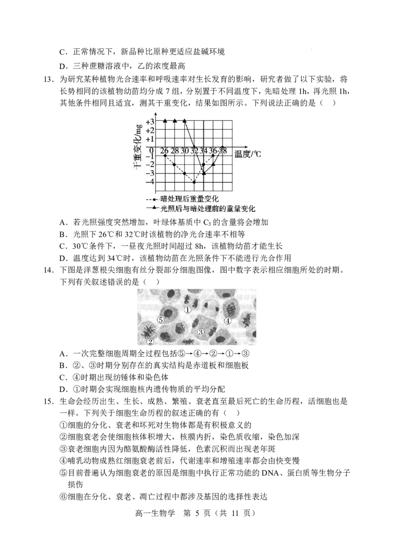 辽宁省重点高中沈阳市郊联体2025-2026学年高一上学期期末生物试卷含答案_2026年02月高一试卷_260201辽宁省重点高中沈阳市郊联体2025-2026学年高一上学期期末（全）