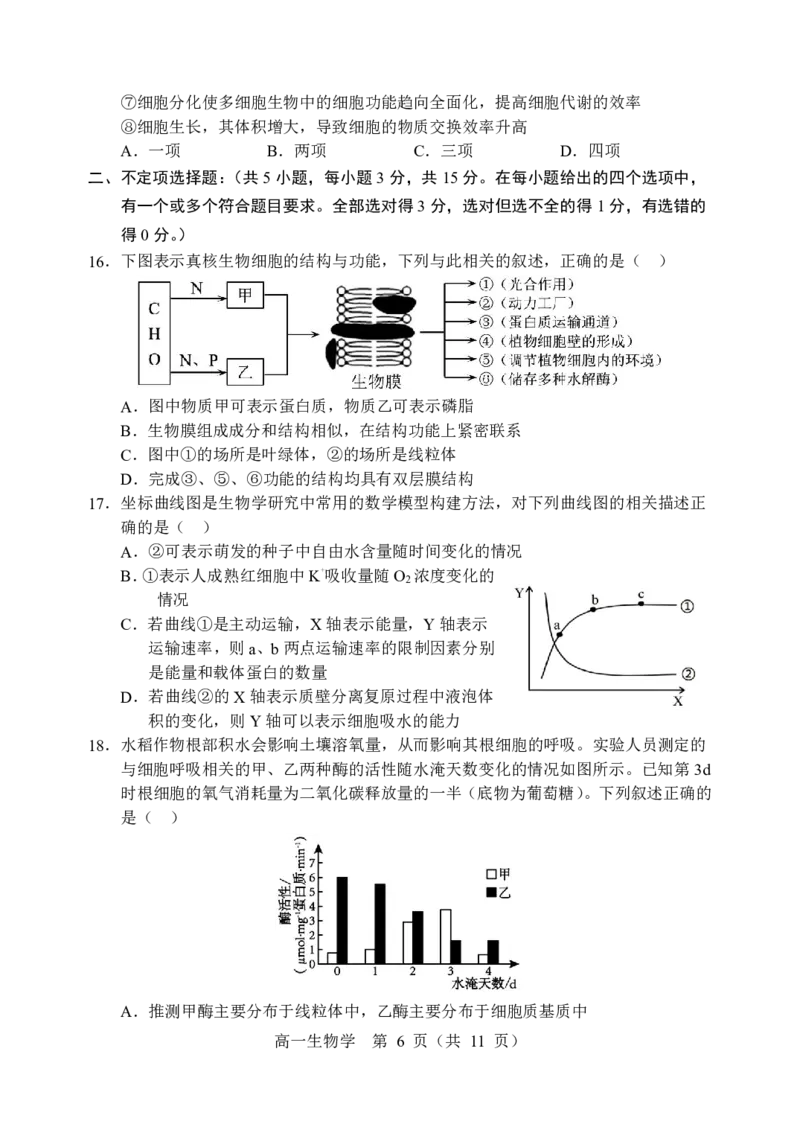 辽宁省重点高中沈阳市郊联体2025-2026学年高一上学期期末生物试卷含答案_2026年02月高一试卷_260201辽宁省重点高中沈阳市郊联体2025-2026学年高一上学期期末（全）