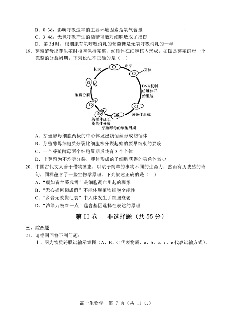 辽宁省重点高中沈阳市郊联体2025-2026学年高一上学期期末生物试卷含答案_2026年02月高一试卷_260201辽宁省重点高中沈阳市郊联体2025-2026学年高一上学期期末（全）