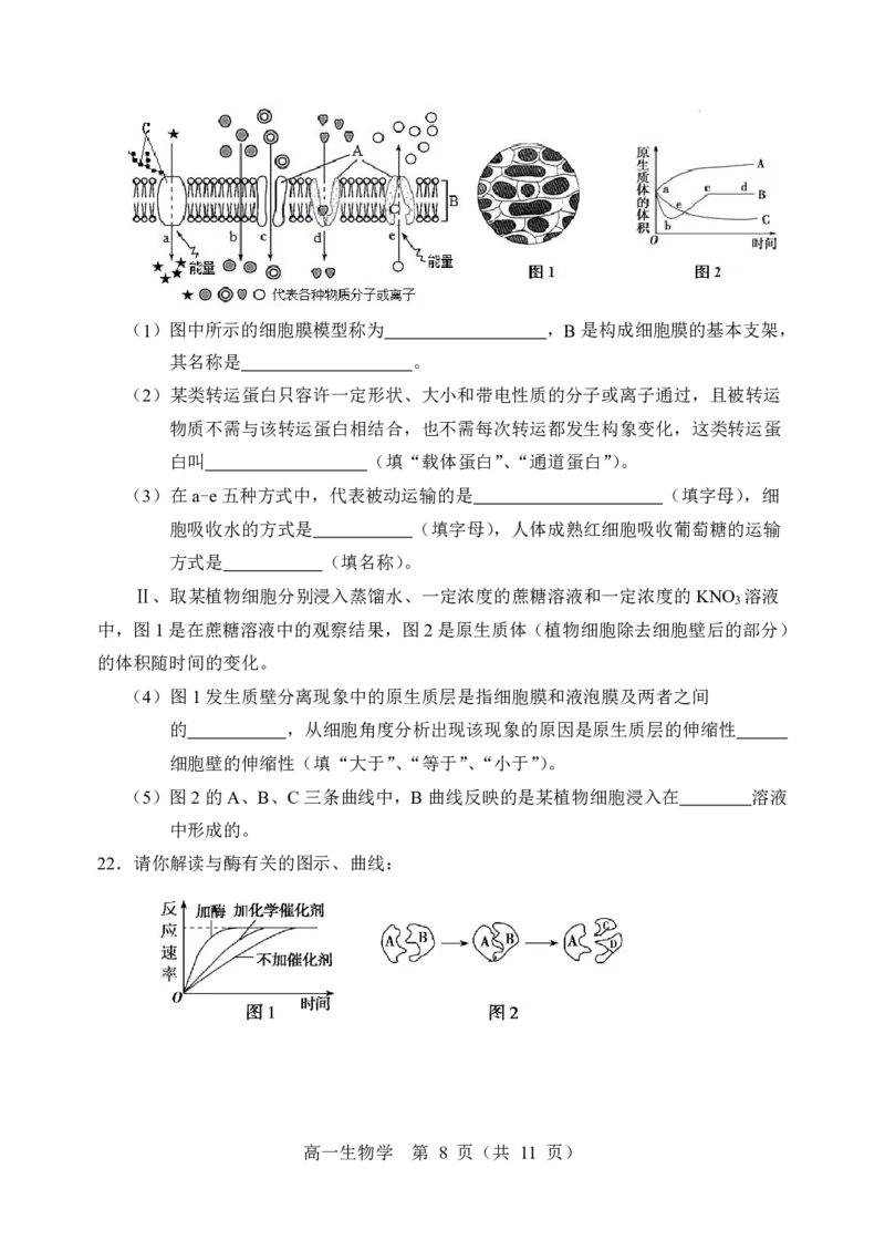 辽宁省重点高中沈阳市郊联体2025-2026学年高一上学期期末生物试卷含答案_2026年02月高一试卷_260201辽宁省重点高中沈阳市郊联体2025-2026学年高一上学期期末（全）