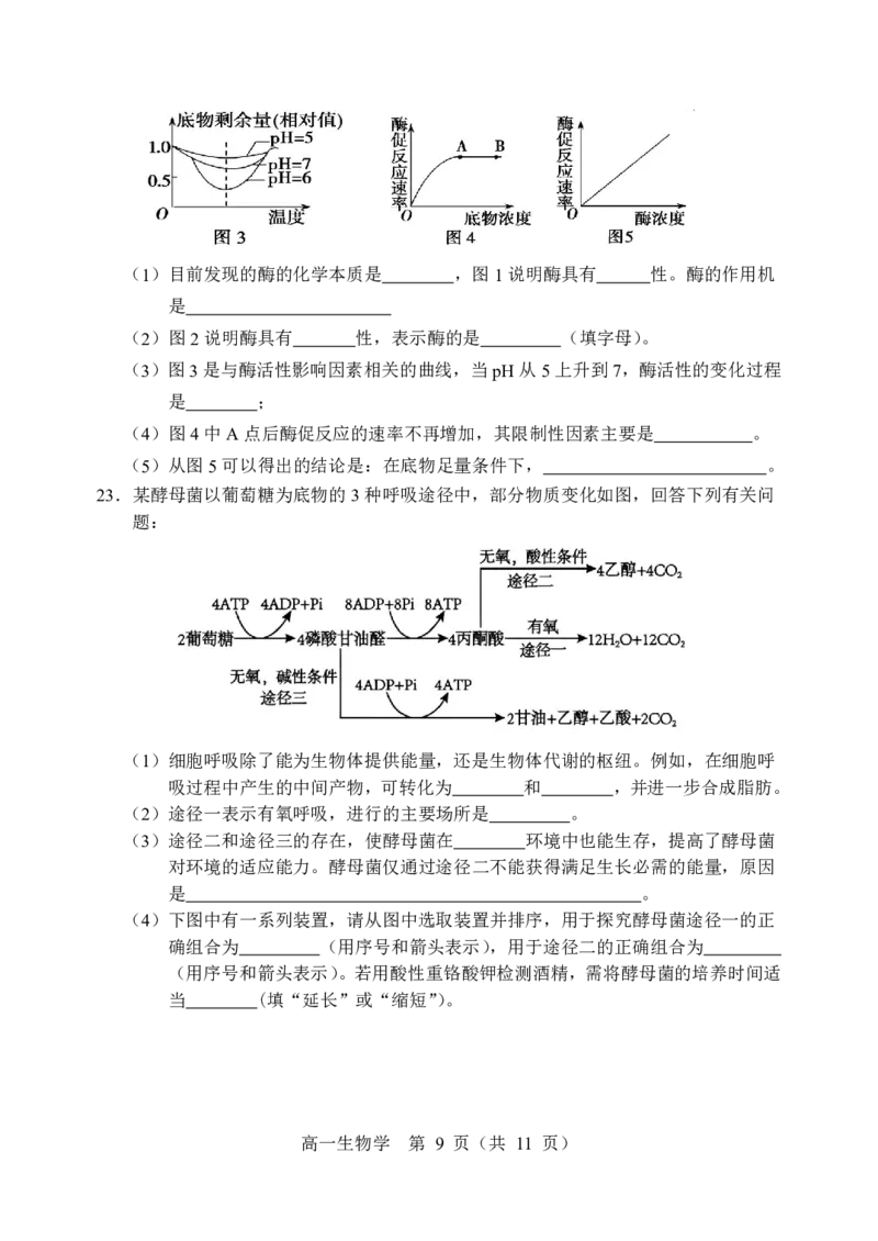 辽宁省重点高中沈阳市郊联体2025-2026学年高一上学期期末生物试卷含答案_2026年02月高一试卷_260201辽宁省重点高中沈阳市郊联体2025-2026学年高一上学期期末（全）