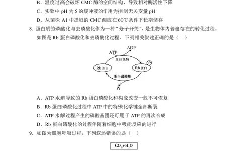 辽宁省重点高中沈阳市郊联体2025-2026学年高一上学期期末生物试卷含答案_2026年02月高一试卷_260201辽宁省重点高中沈阳市郊联体2025-2026学年高一上学期期末（全）