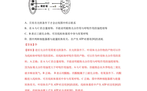 课时10光合作用和细胞呼吸的比较-2023年高考生物一轮复习小题多维练（解析版）_通用版（老高考）复习资料_2023年复习资料_一轮复习_2023年高考生物一轮复习小题多维练（全国通用）